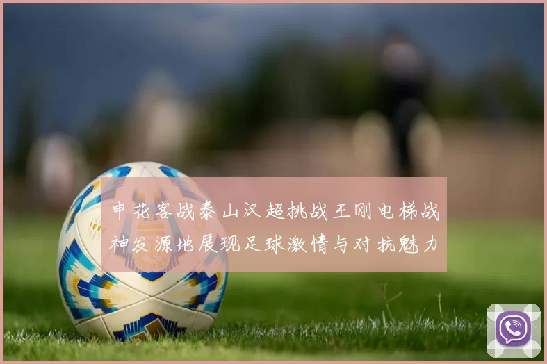 申花客战泰山汉超挑战王刚电梯战神发源地展现足球激情与对抗魅力